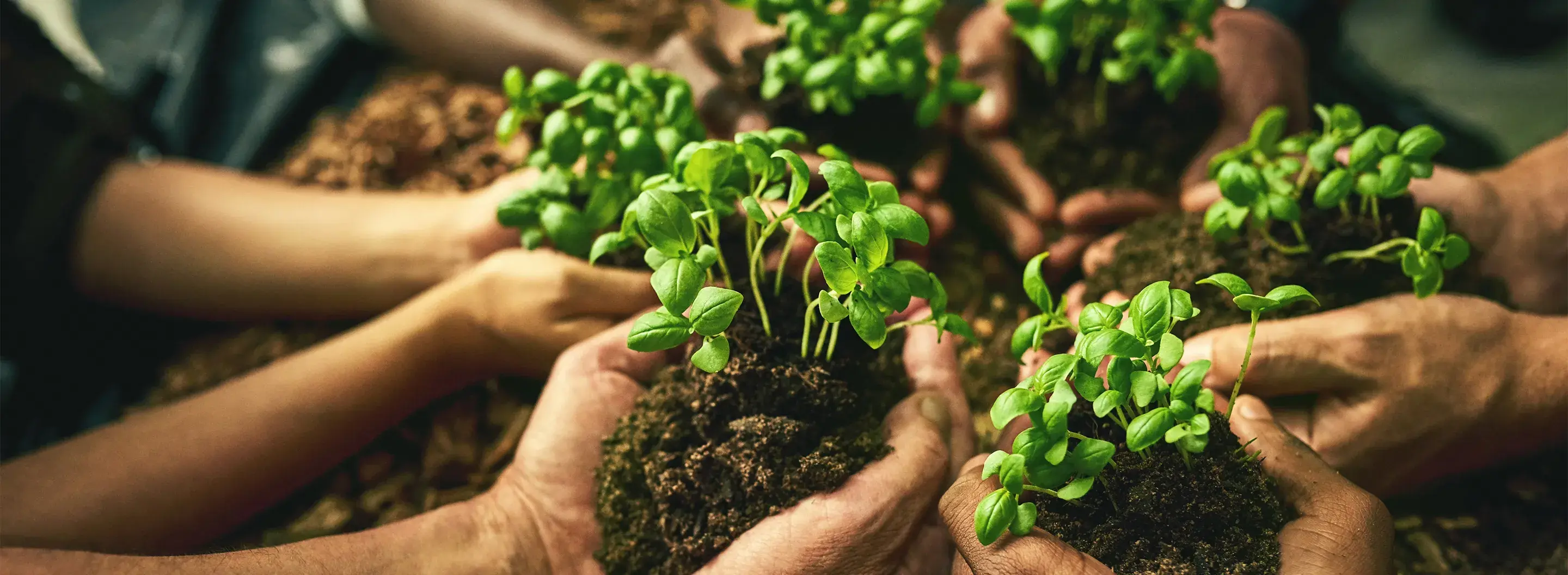 ENVIRONMENTAL ACTION